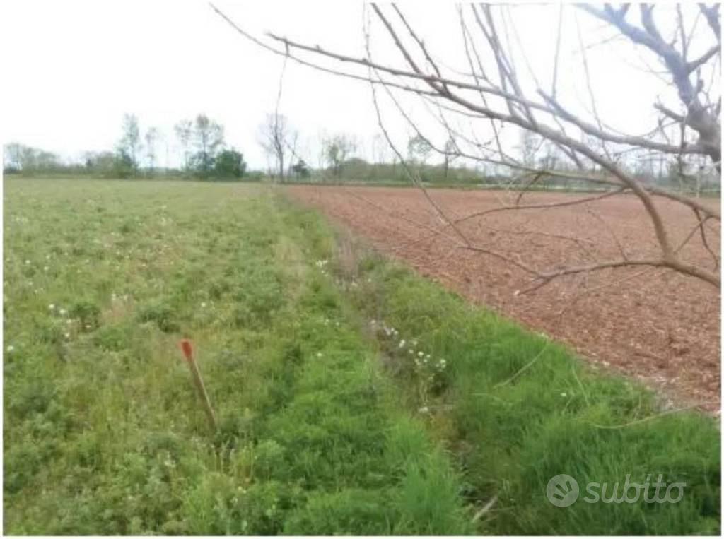 Immobile in asta di 29838 m² a Paese - Vista 4