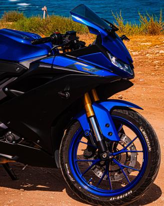 Yamaha yzf r125 2019 blu