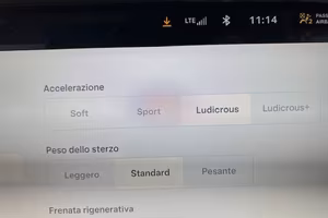 Model X Performance Loudicrous 51.000 km
