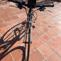 Bici da corsa