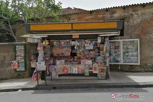 Contesse Avviata Edicola rif. vs978