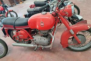 Gilera b 300