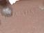 Immagine 15