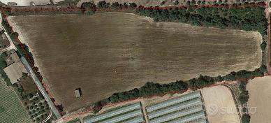 Terreno edificabile per attività agricole