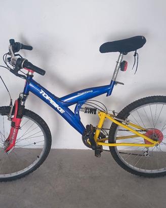 bicicletta mountain bike 