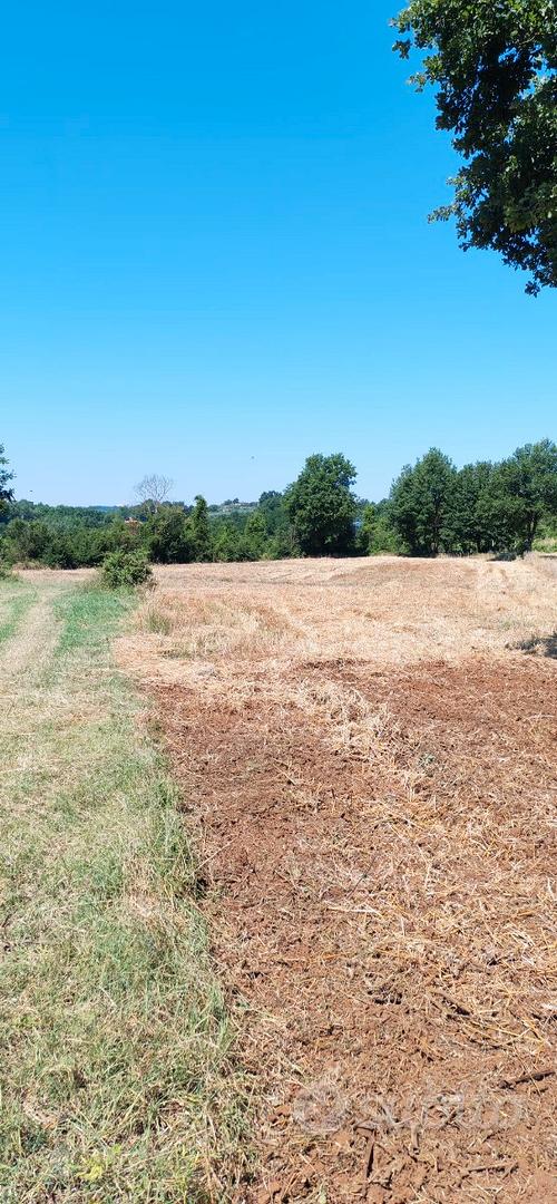 Terreno agricolo - Vista 3