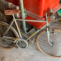 Bicicletta uomo wander