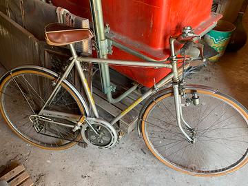 Bicicletta uomo wander