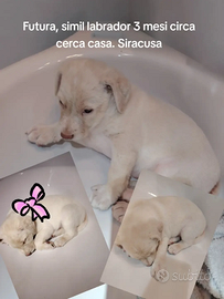 Futura e Kenya 3 mesi