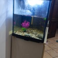 Acquario 150lt