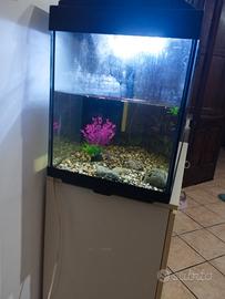 Acquario 150lt