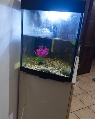 Acquario 150lt