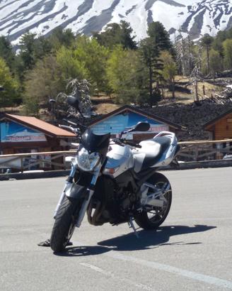 gsr 600