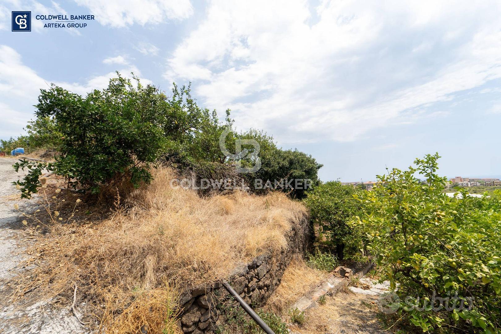 Terreno agricolo - Acireale - Vista 2
