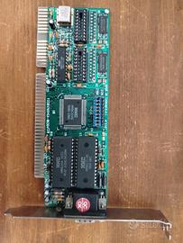 Scheda video vintage HMC bus isa 