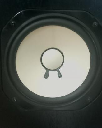 Coppia woofer Yamaha 