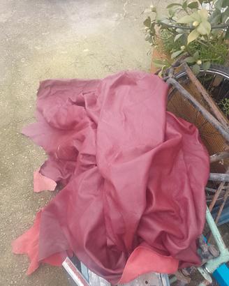 Pelle intera per tappezzeria