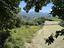 Immagine 29