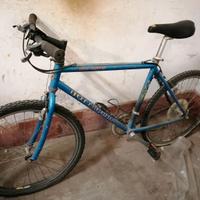 Bici da uomo bottecchia