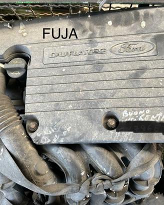 Motore Ford Fiesta 1200 FUJA