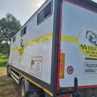 Van trasporto cavalli
