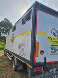 Van trasporto cavalli