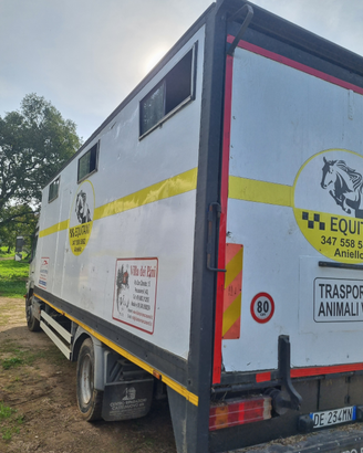 Van trasporto cavalli