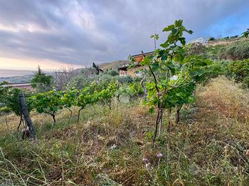 TER. RESIDENZIALE A AMANTEA