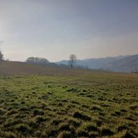 Oltrepò Pavese 14,76 ha di seminativo corpo unico