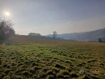 Oltrepò Pavese 14,76 ha di seminativo corpo unico