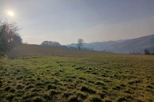 Oltrepò Pavese 14,76 ha di seminativo corpo unico