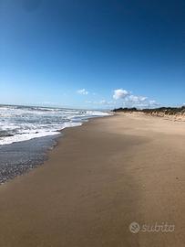 Appartamento vacanze mare metaponto