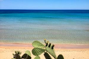 Accesso diretto SPIAGGIA-FRONTE SPIAGGIA