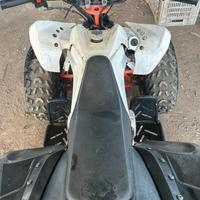 Kayo Quad 125 Predator