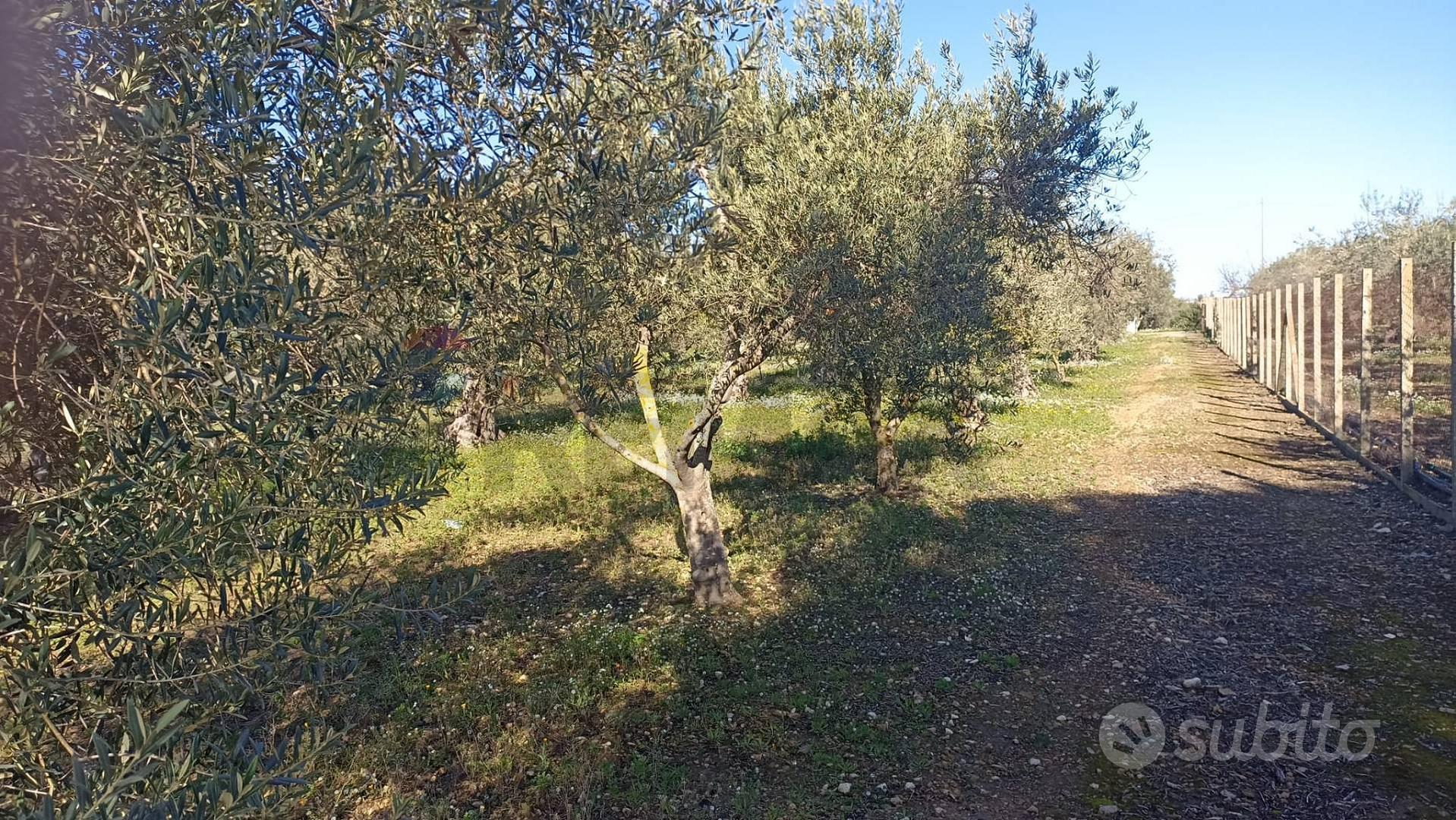 Rustico - Chiaramonte Gulfi - Altro