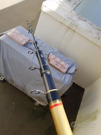 Canna bolognese Triana 7m 