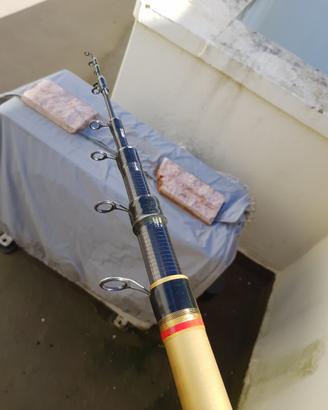 Canna bolognese Triana 7m 