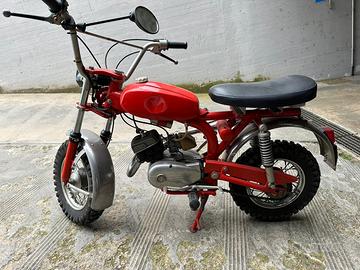 Beta Boy Cicogna 1969