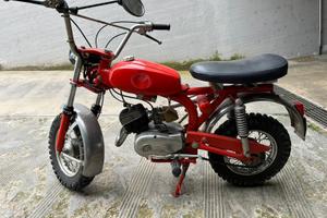 Beta Boy Cicogna 1969