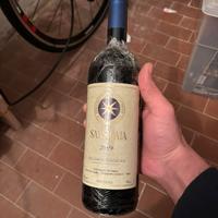 Sassicaia 2019