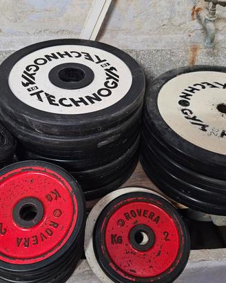 Dischi technogym panatta e altri marchi