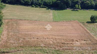 TER. AGRICOLO A VIVERONE