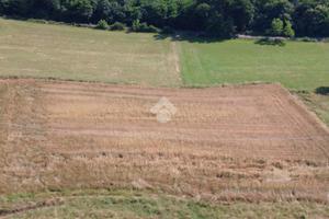 TER. AGRICOLO A VIVERONE