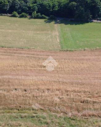 TER. AGRICOLO A VIVERONE
