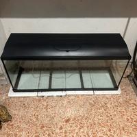 Acquario 100litri SUPER ACCESSORIATO