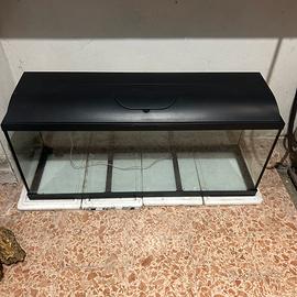 Acquario 100litri SUPER ACCESSORIATO