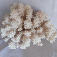 oggetti d'arredo... corallo, ametista, quarzo