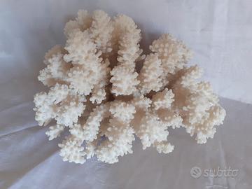 oggetti d'arredo... corallo, ametista, quarzo