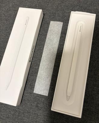 Apple Pencil Pro