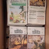 collezione rivista vita in campagna 